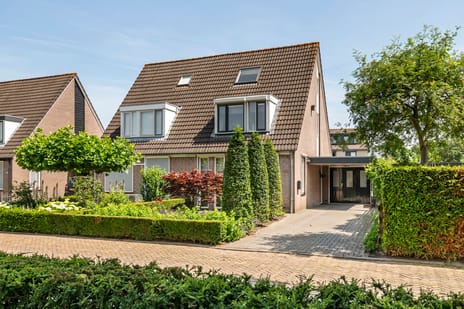 Goudrenet thumbnail