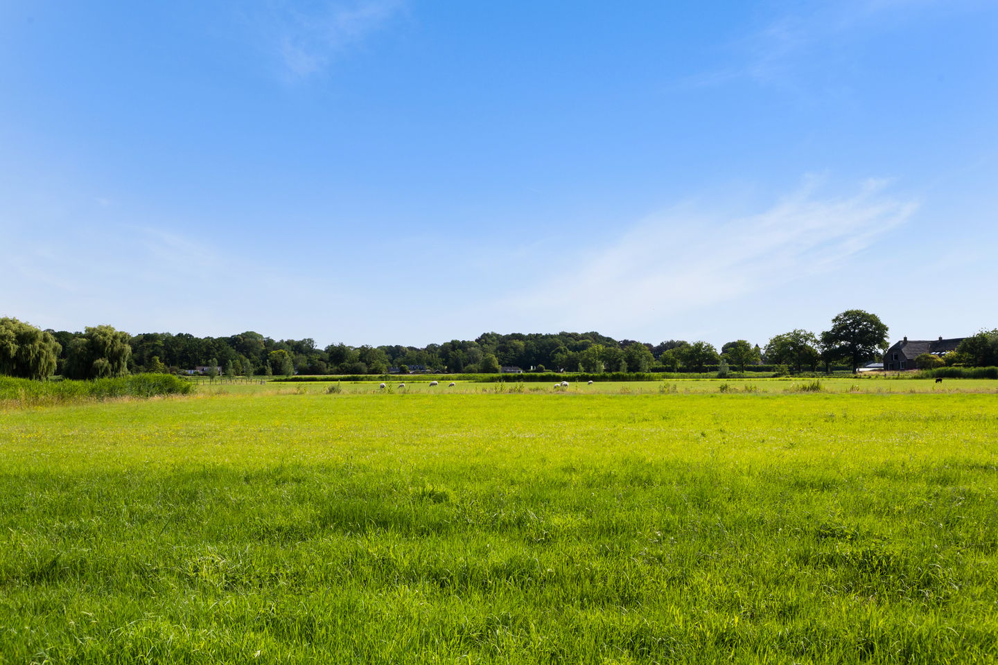 Photo 40 of Bijleveldweg 14