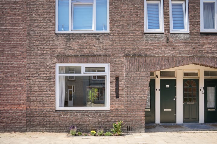 Foto 5 van Laan van Nieuw-Guinea 38