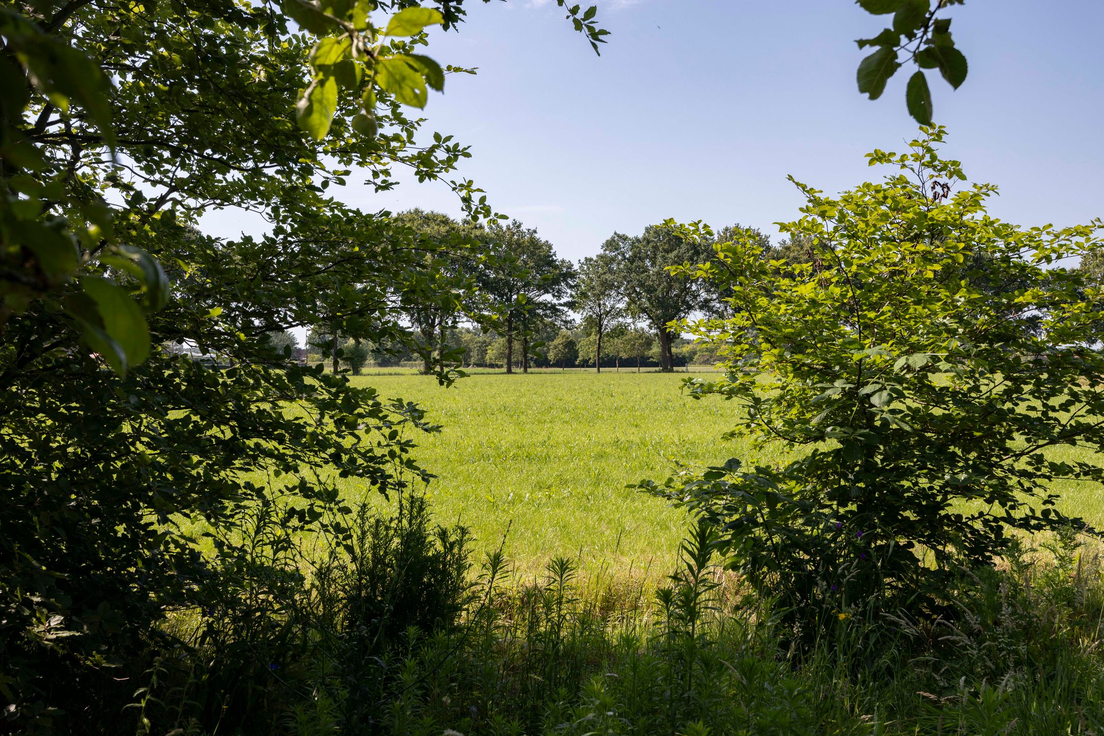 Photo 60 of Papenvoorden 8