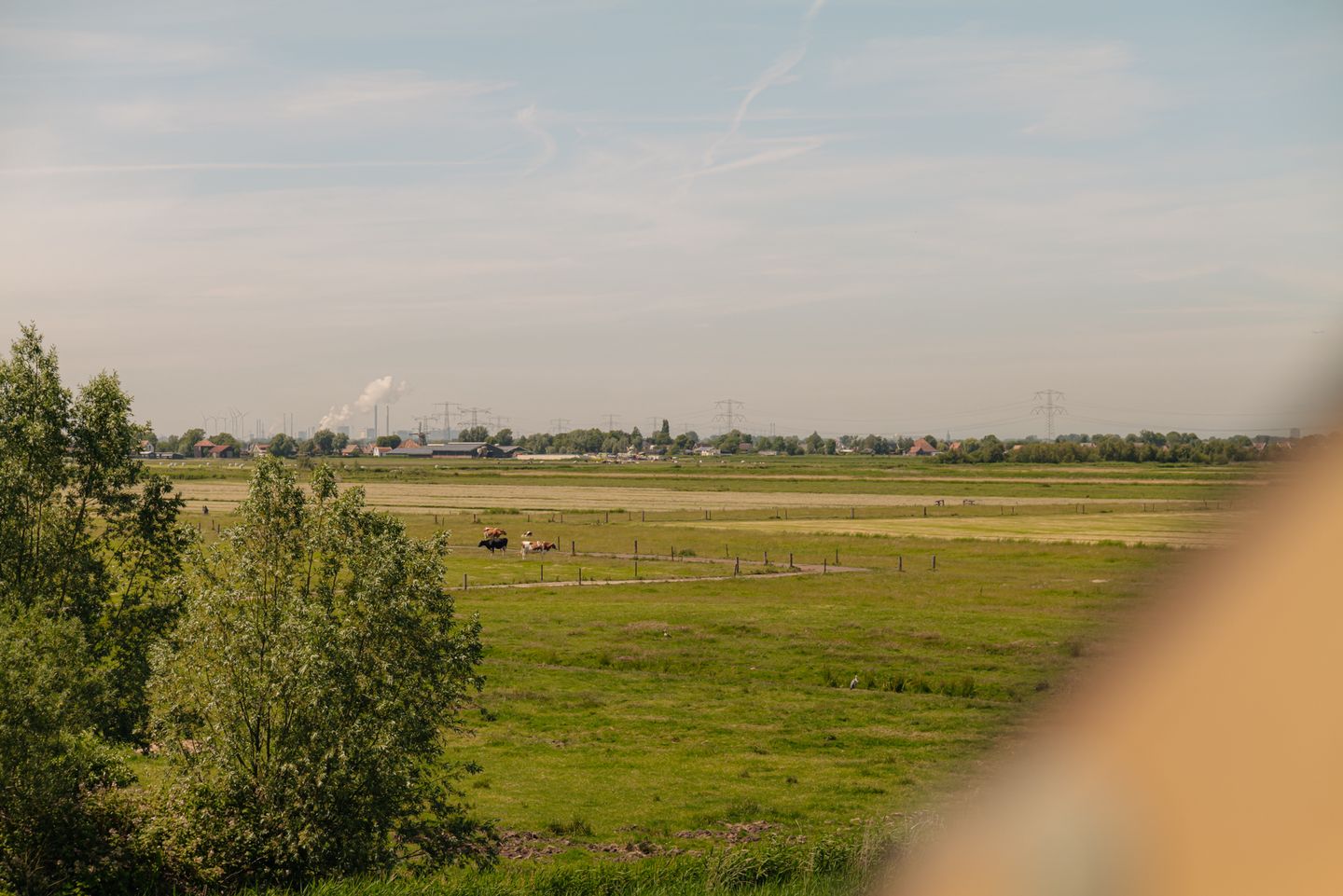 Photo 44 of Kersenhout 32