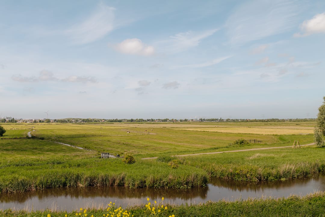 Photo 11 of Kersenhout 32
