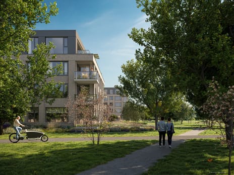 Dorhoutstraat thumbnail