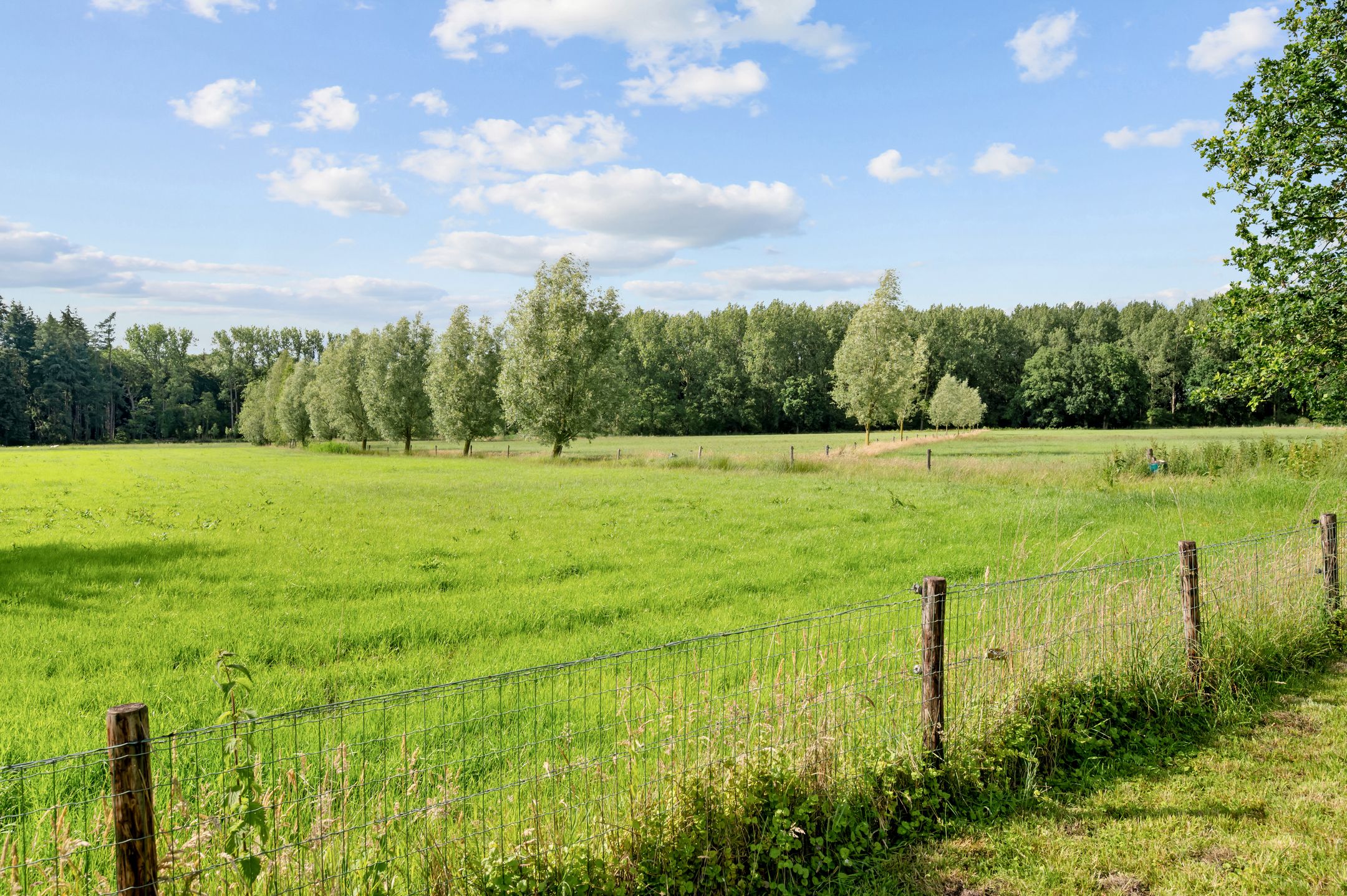 Photo 48 of Raalterweg 5