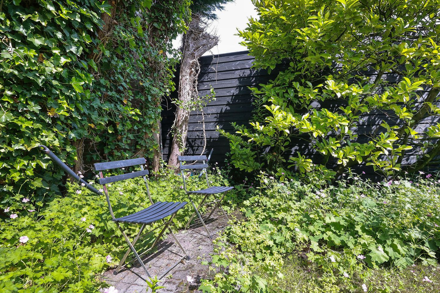 Foto 40 van van Beekstraat 69