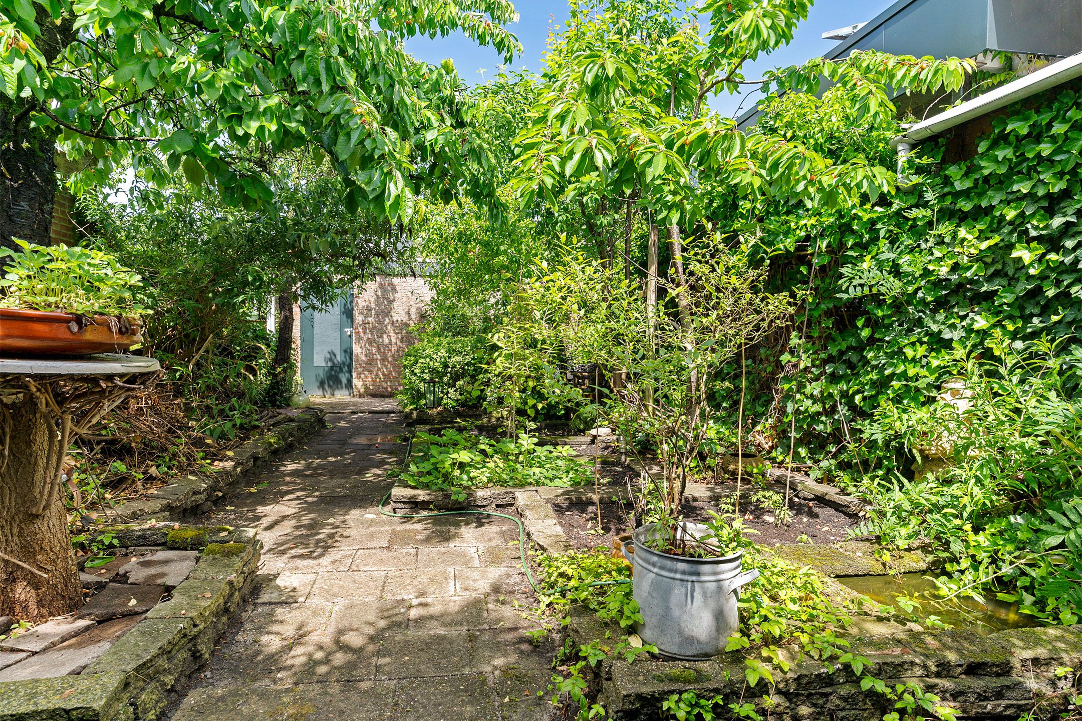 Photo 36 of Johan van Reesstraat 44