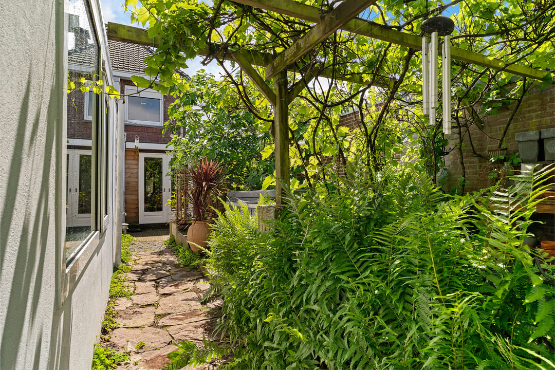 Photo 31 of Johan van Reesstraat 44