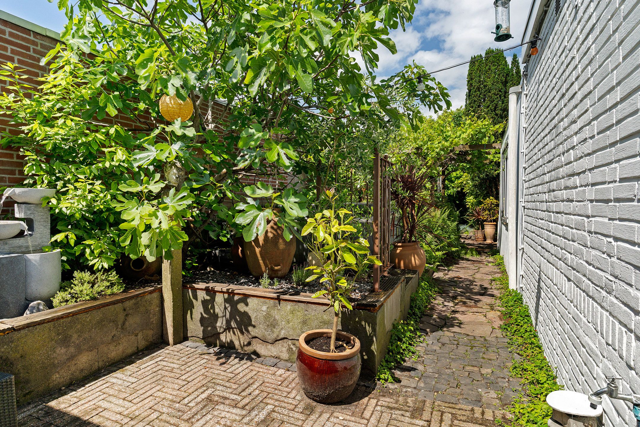 Photo 30 of Johan van Reesstraat 44