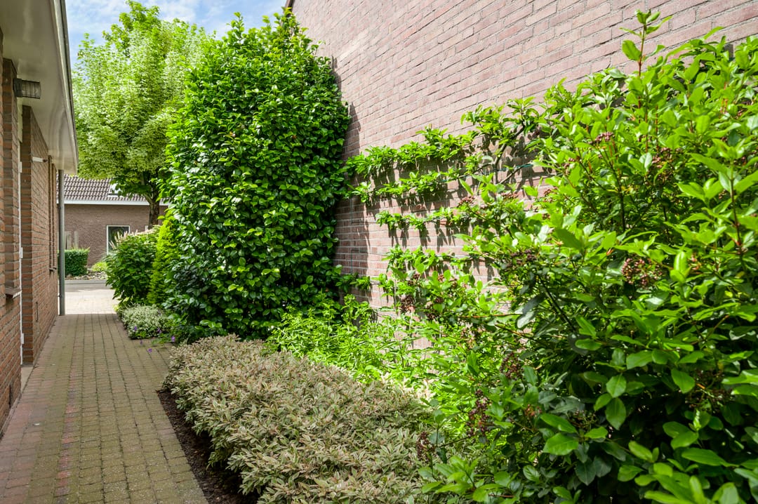Photo 43 of Kerkveldstraat 16