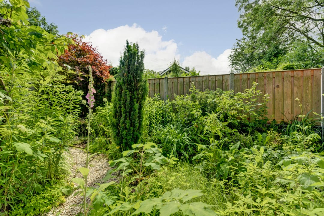Photo 32 of Benonigaard 42