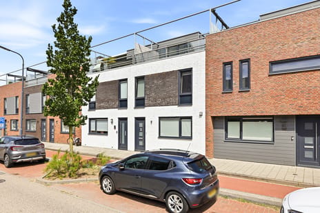 De Willem Ruysstraat thumbnail