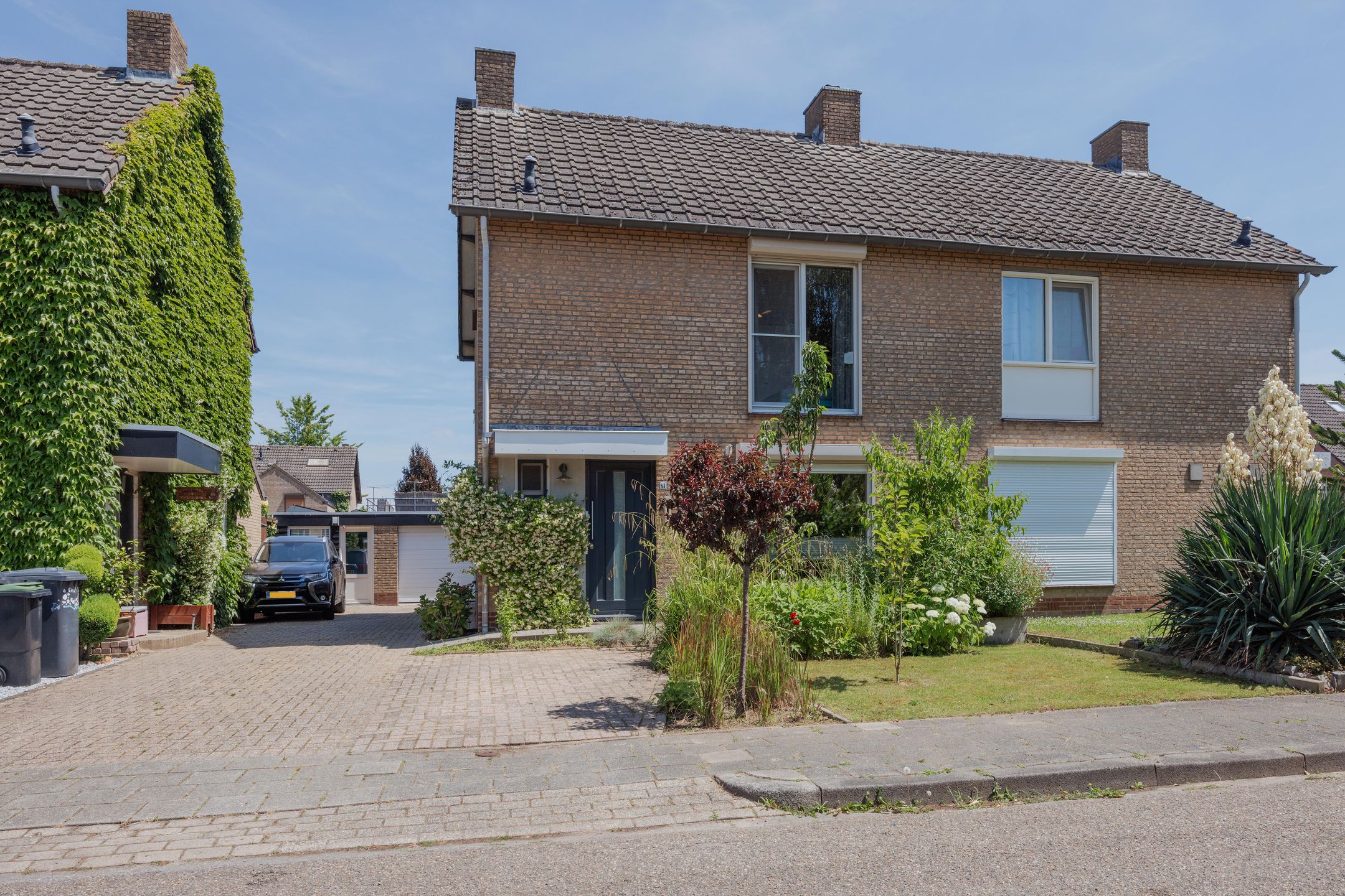 Ellenberg 43 