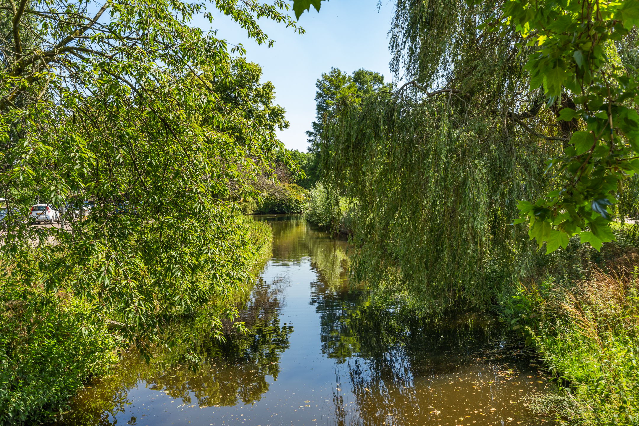 Photo 33 of Swammerdamsingel 79