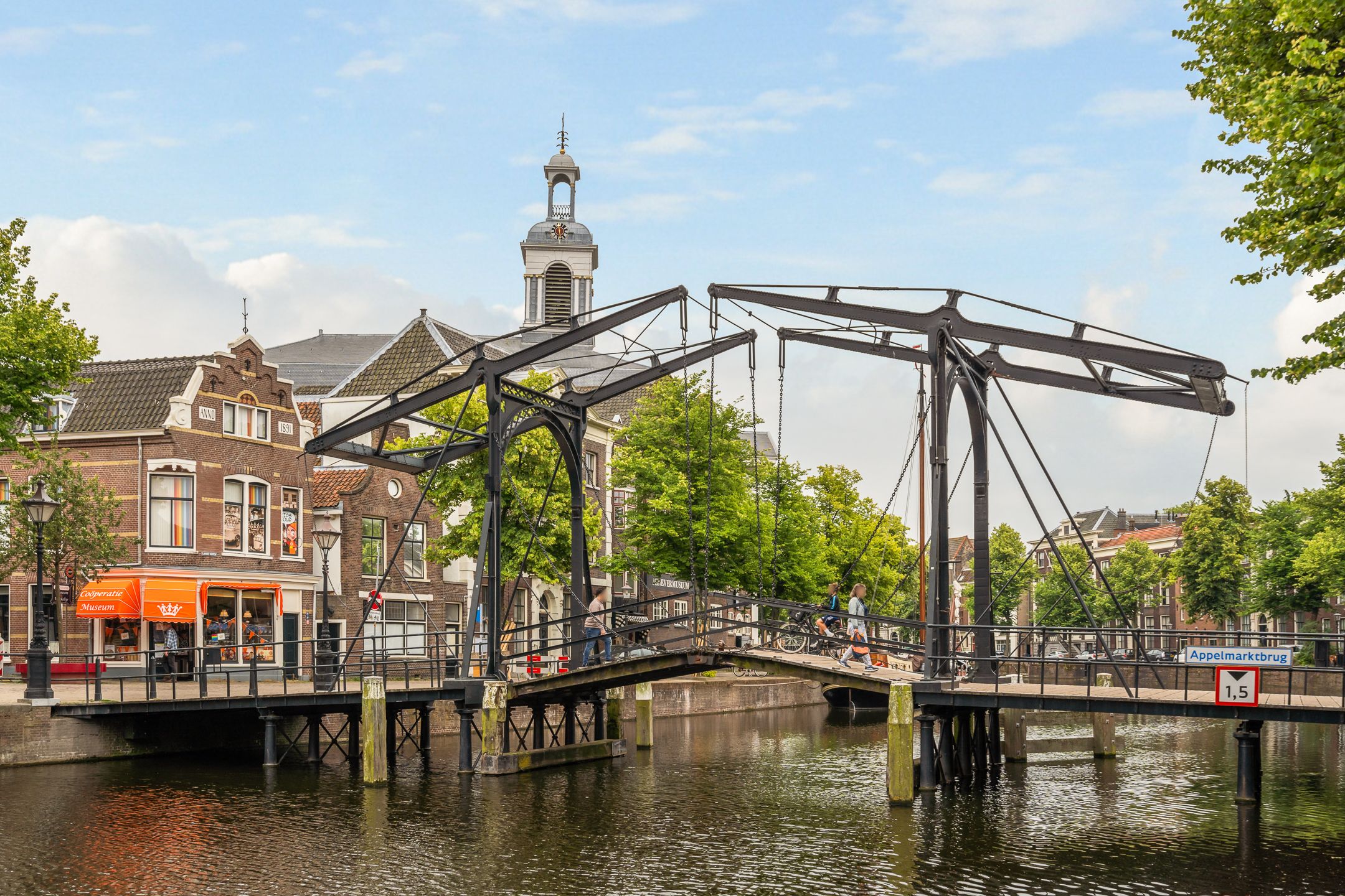 Photo 36 of Swammerdamsingel 79