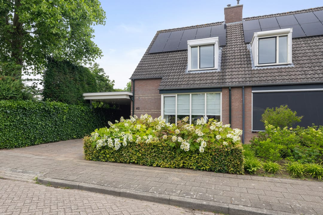 Photo 38 of Korenbloem 40