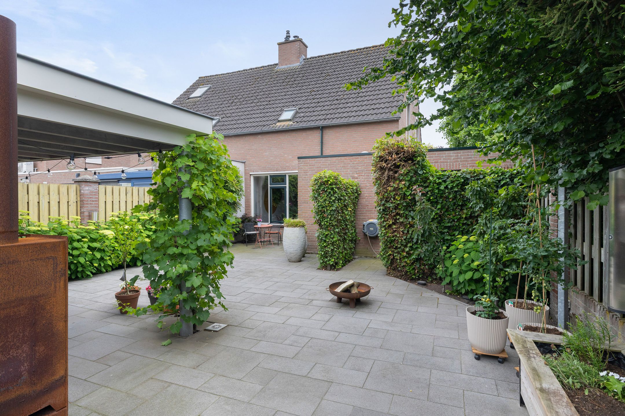 Photo 33 of Korenbloem 40
