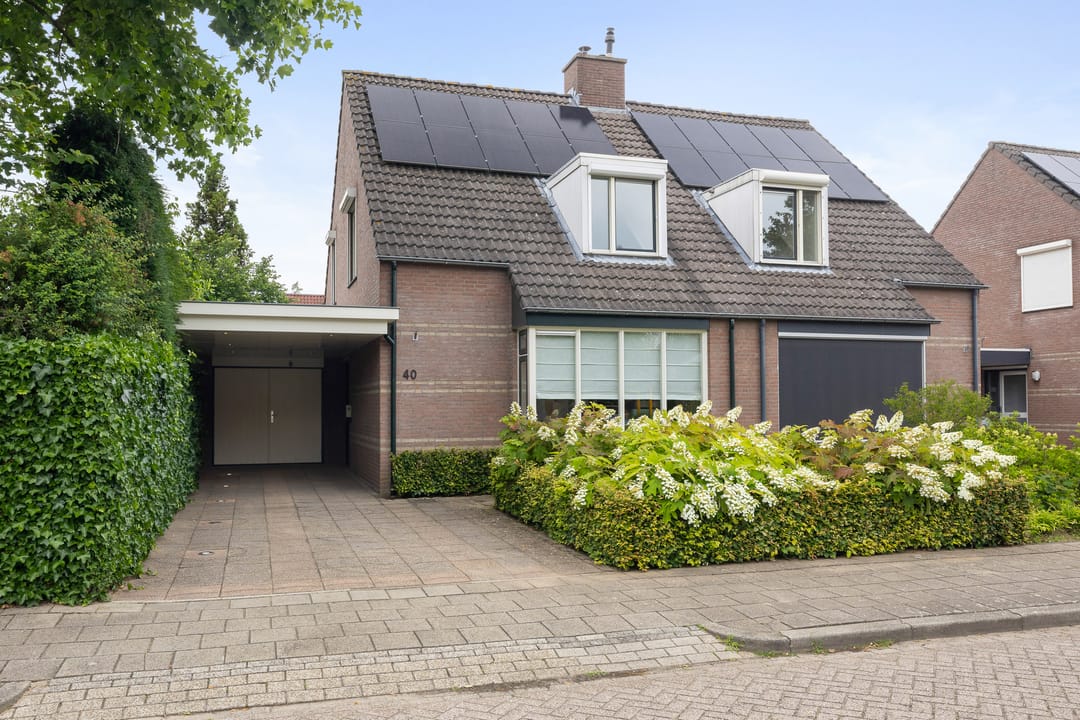 Photo 1 of Korenbloem 40