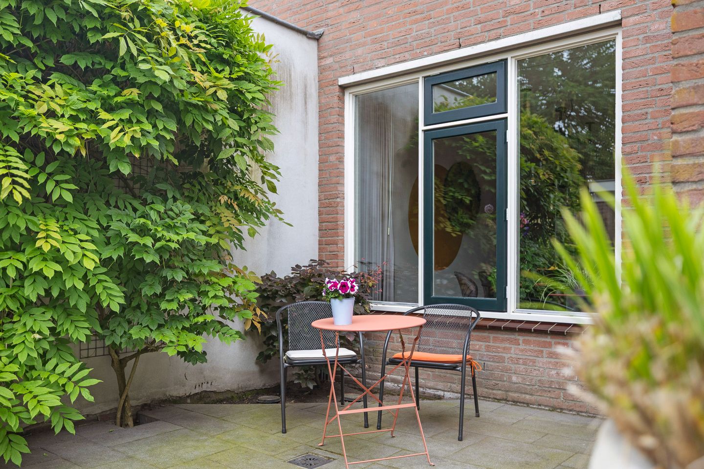 Photo 34 of Korenbloem 40