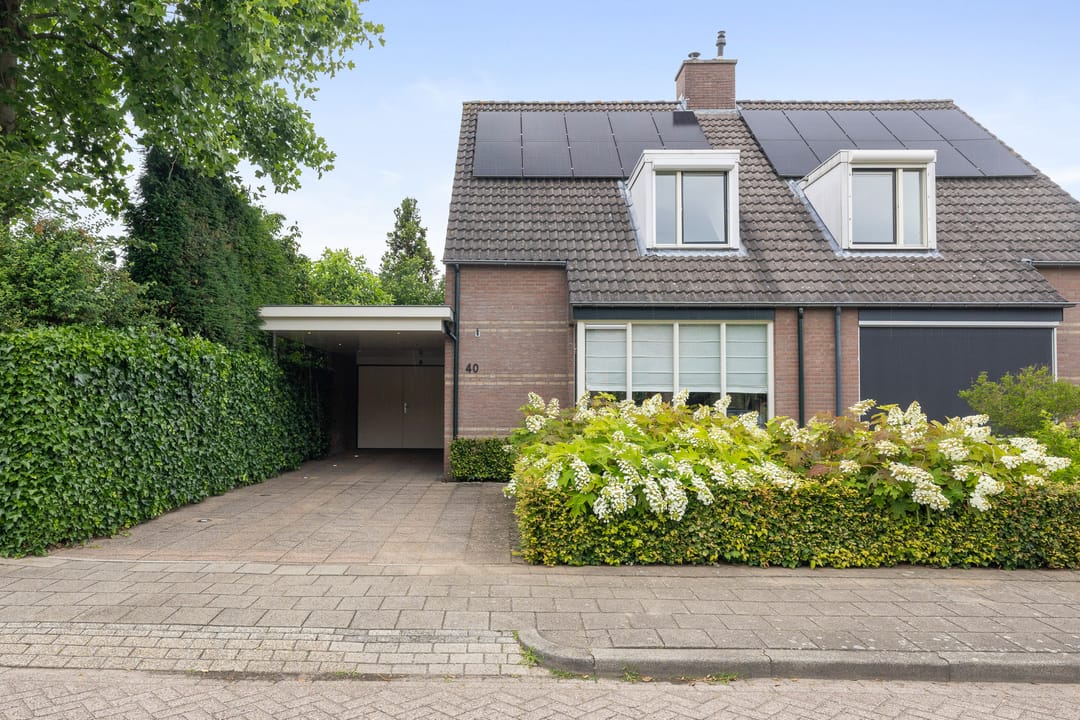 Photo 37 of Korenbloem 40