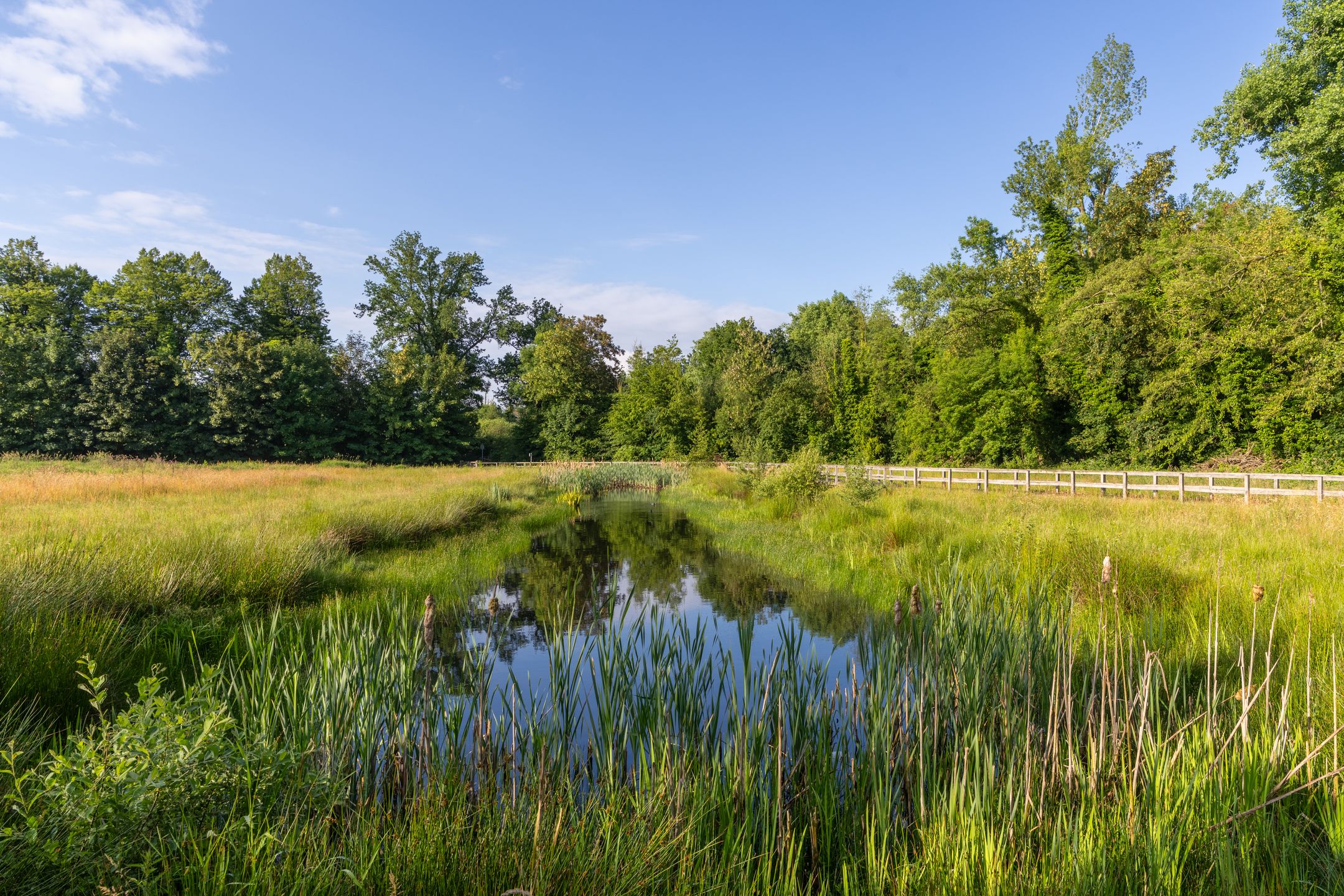 Photo 33 of Konijnshoolsedreef 10