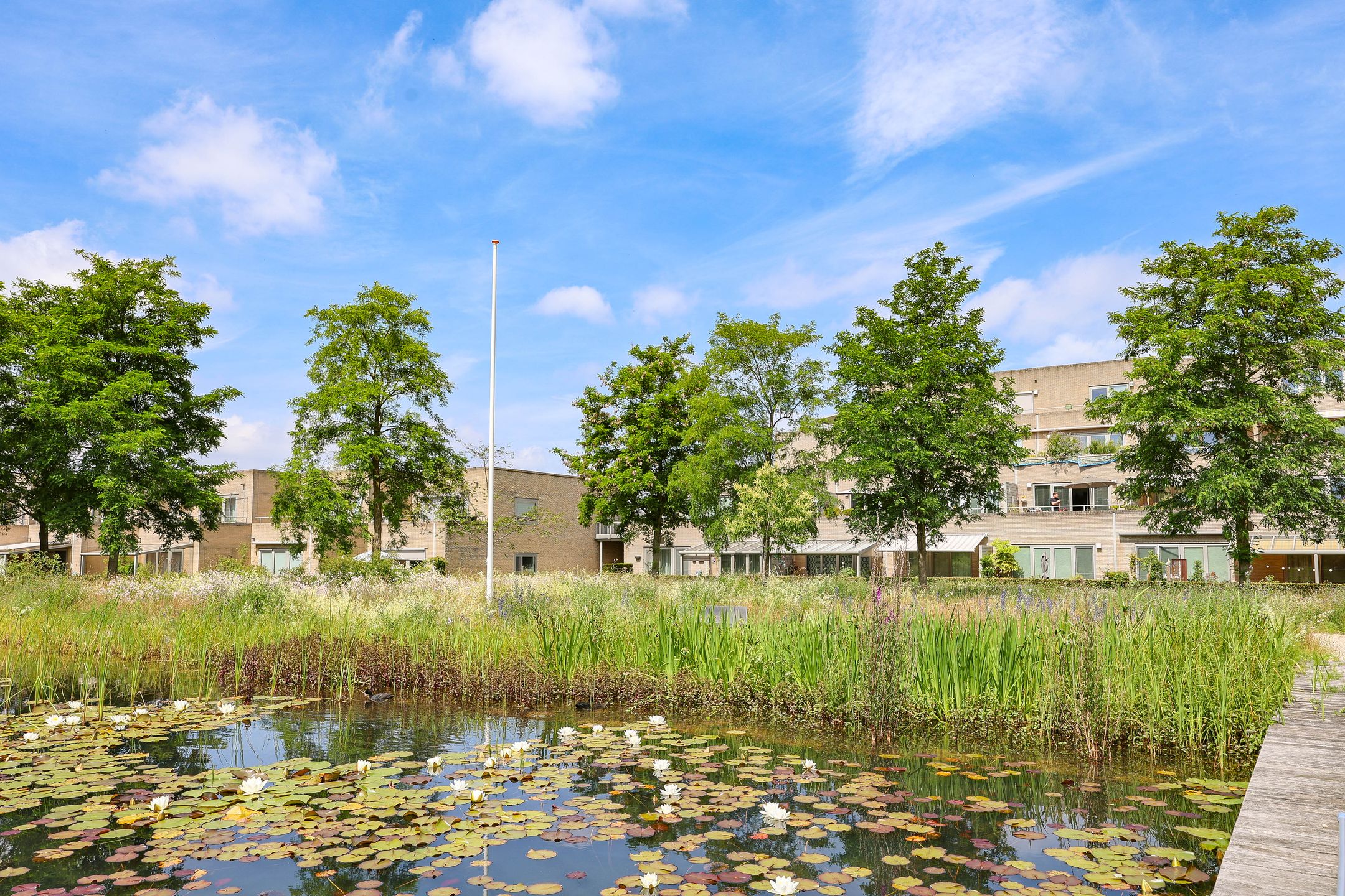 Photo 42 of Poseidonsingel 4