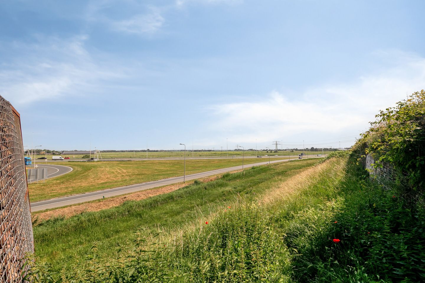 Photo 49 of Forel 198
