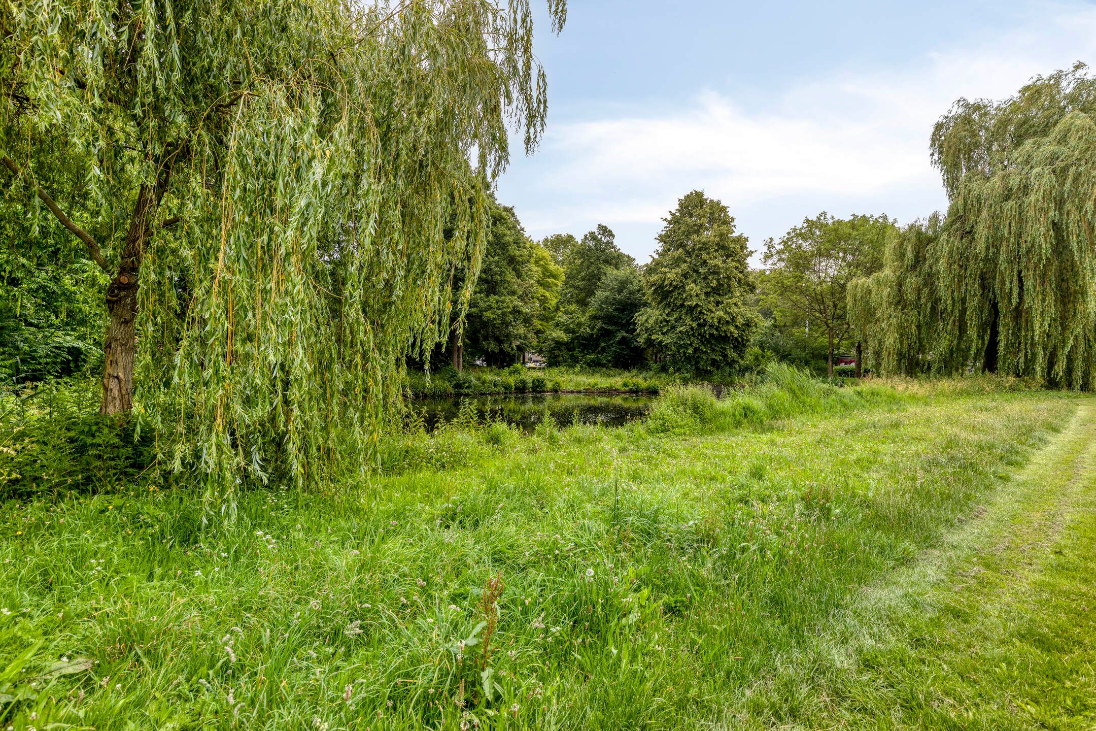 Photo 39 of Hezelaar 45