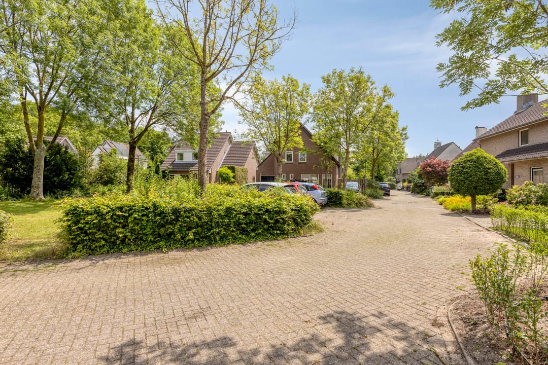 Photo 37 of Hezelaar 45
