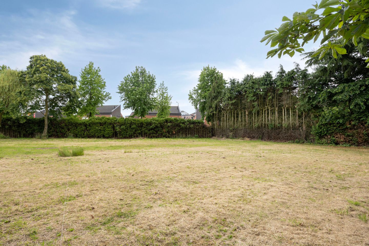 Photo 4 of Wislaan - kavel 1