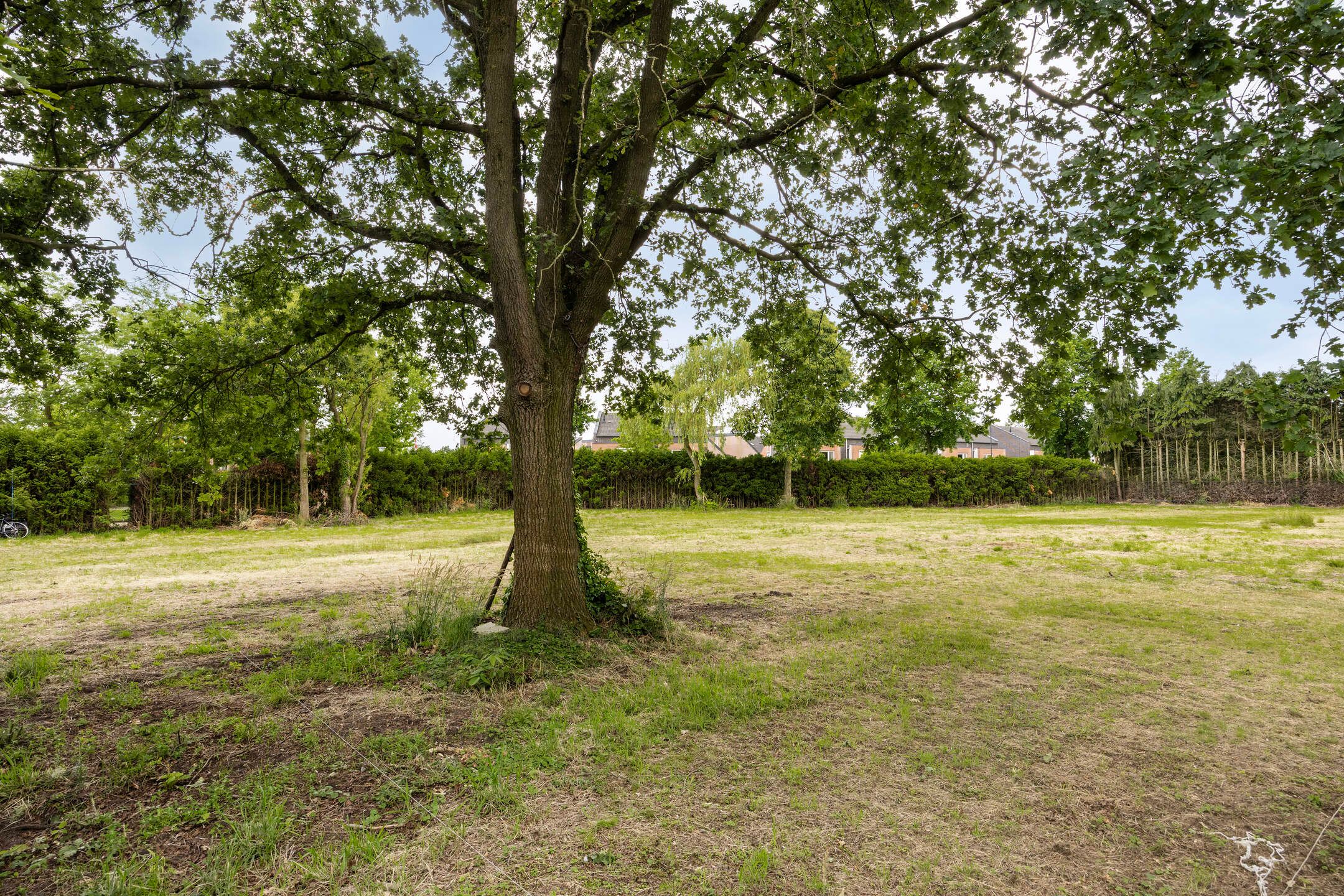 Photo 6 of Wislaan - kavel 2