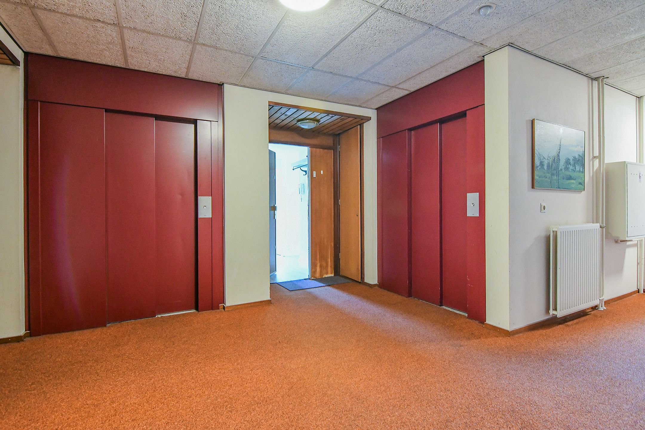 Photo 9 of Thamerhorn 28