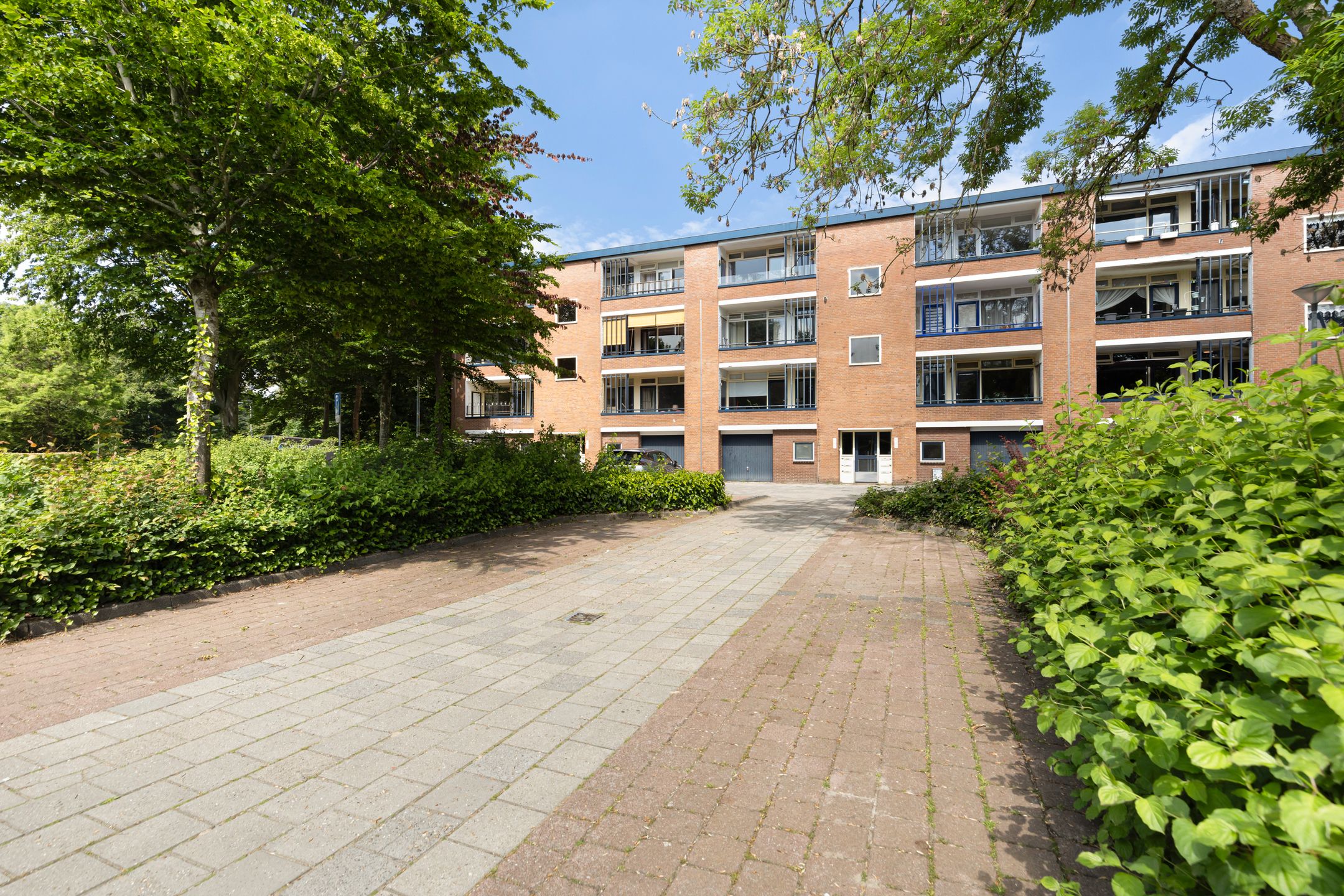 Photo 6 of Wittenburg 19