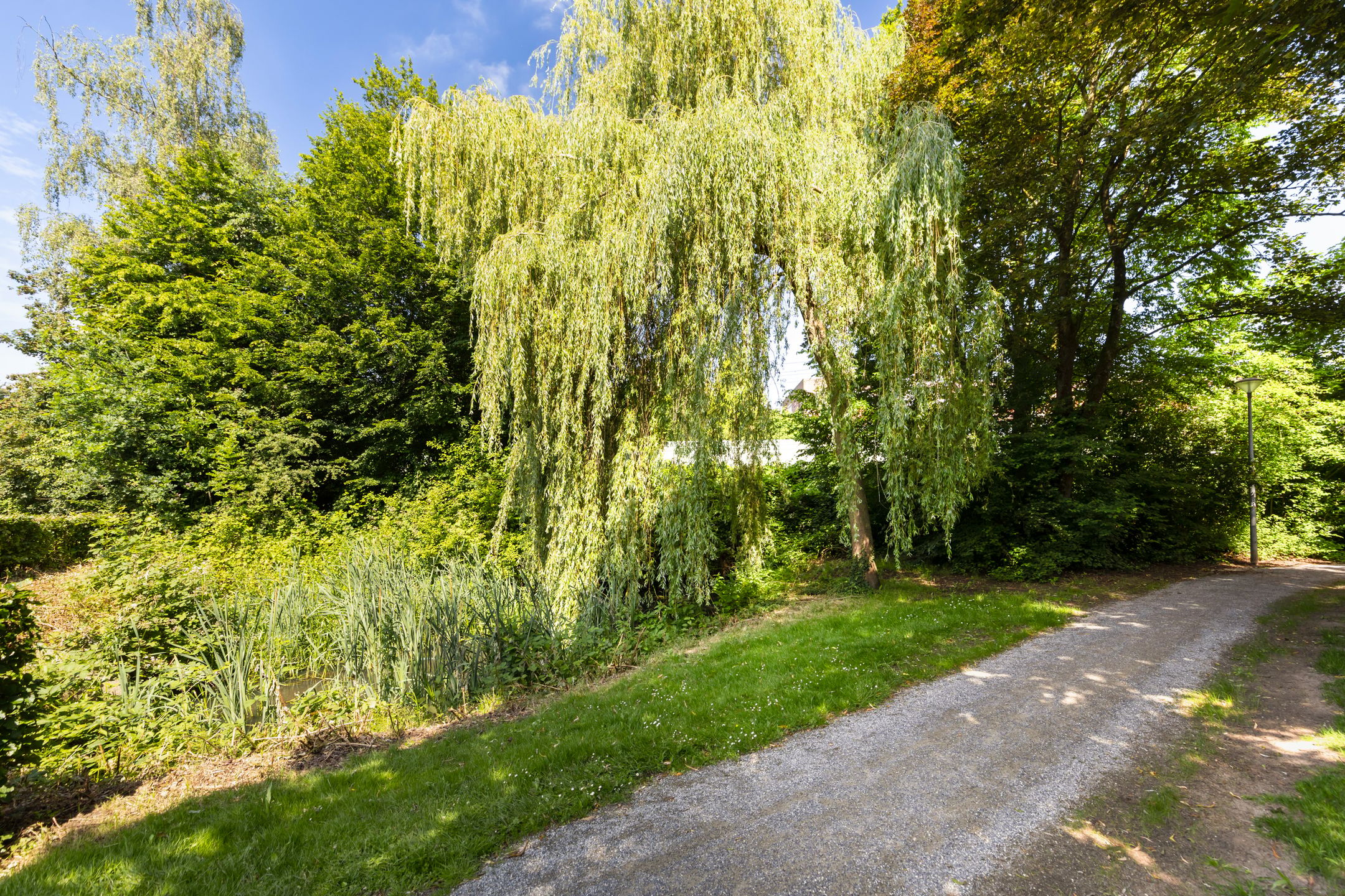 Photo 21 of Wittenburg 19