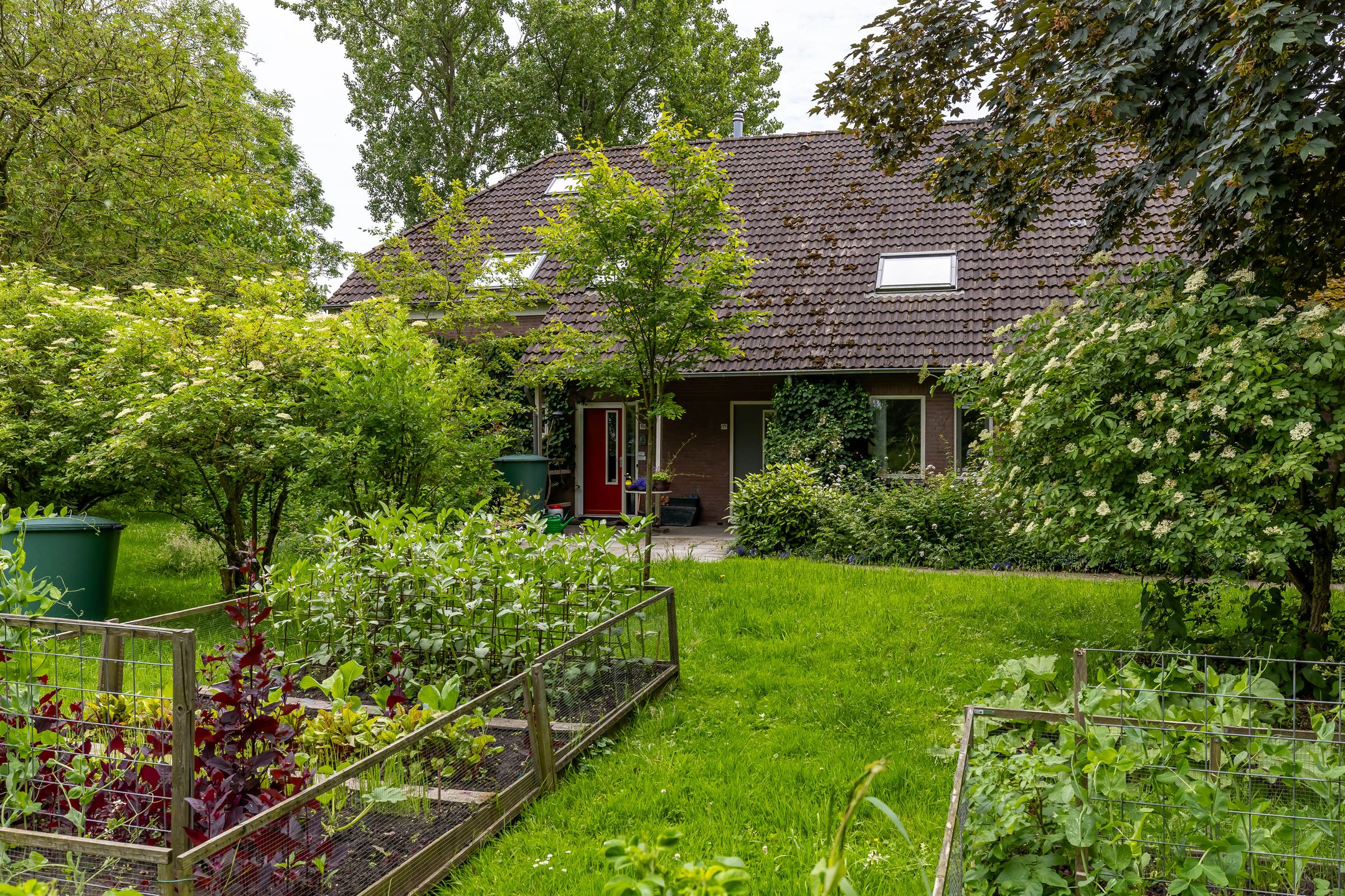 Photo 39 of Paddepoelsterweg 17