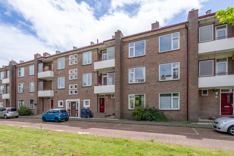Esther de Boer-van Rijkstraat thumbnail