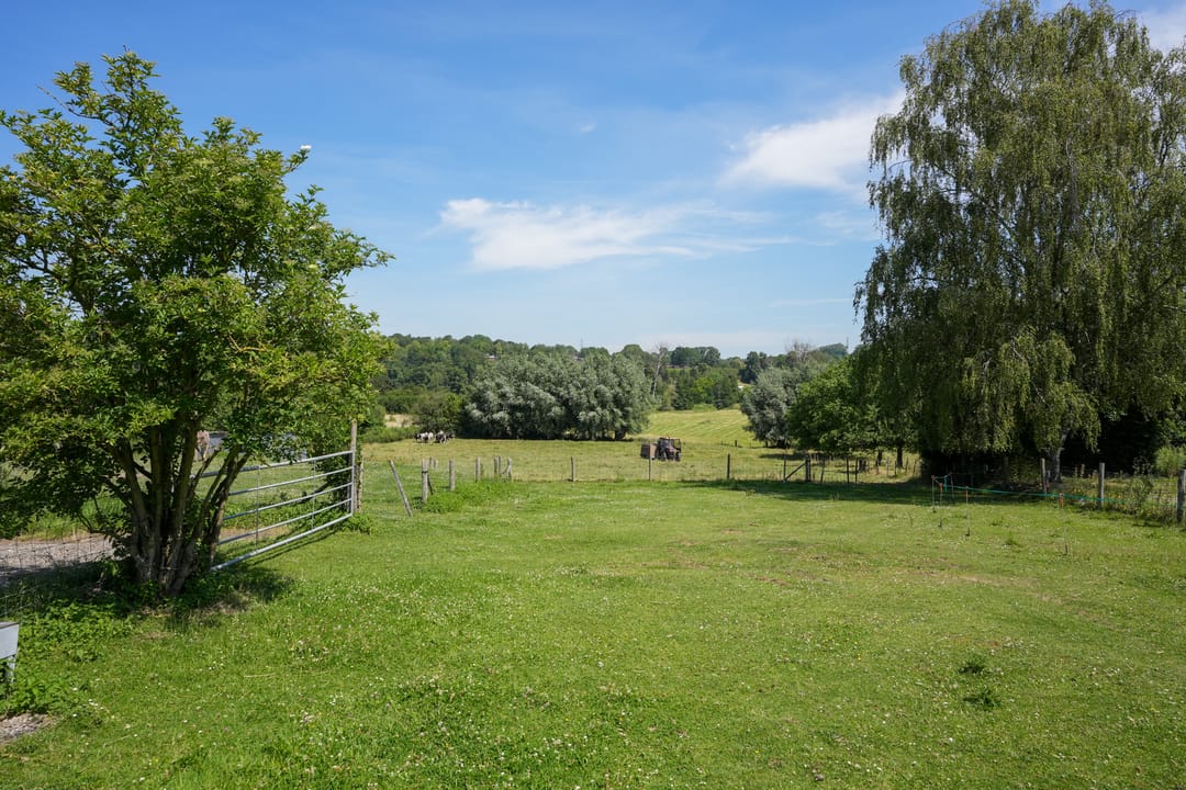 Photo 32 of Strucht 54