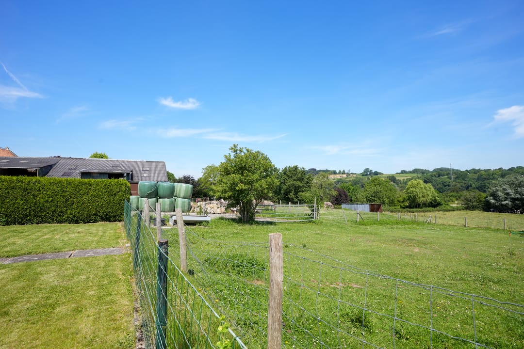 Photo 31 of Strucht 54