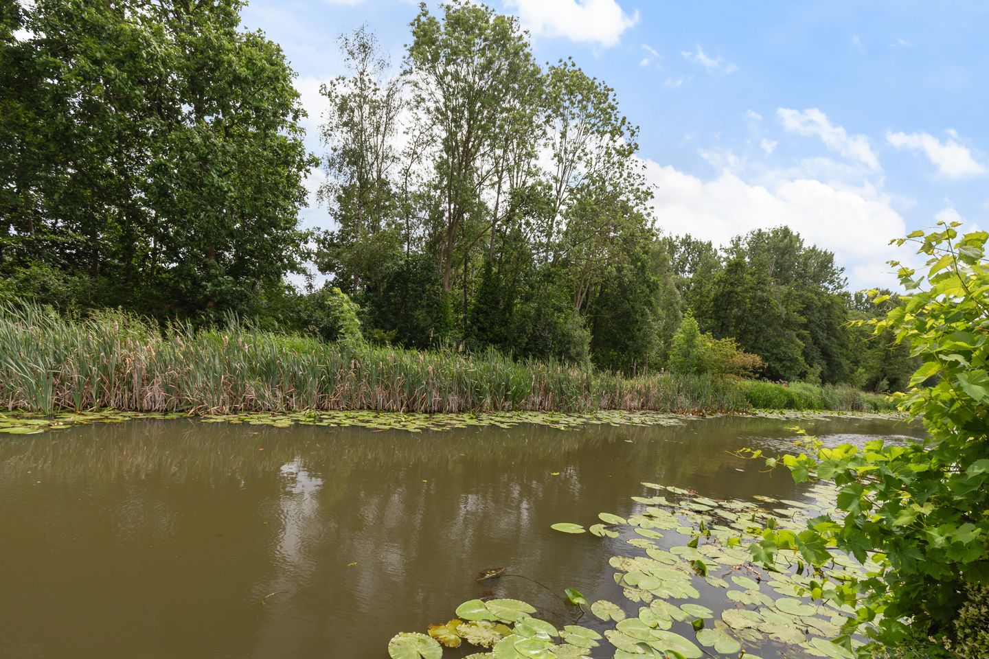 Photo 29 of Bermweg 82