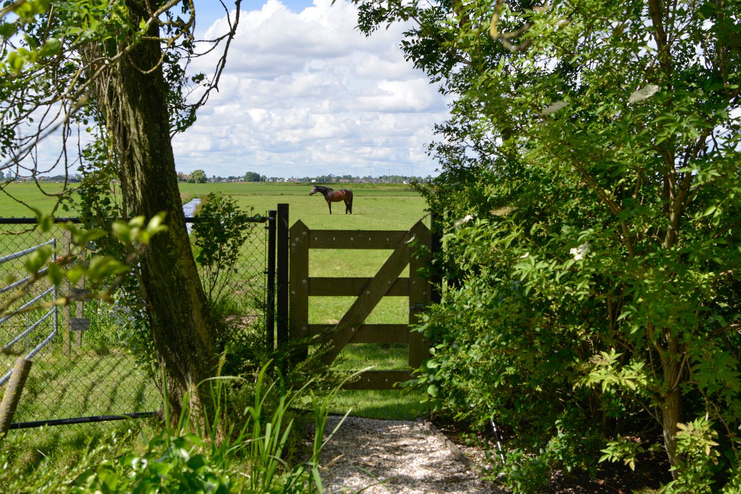 Photo 64 of Verdeek 4