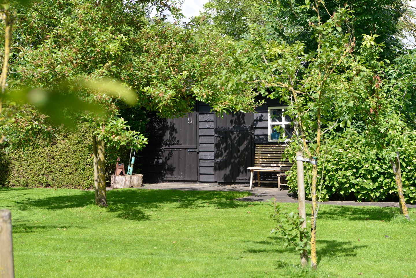 Photo 65 of Verdeek 4