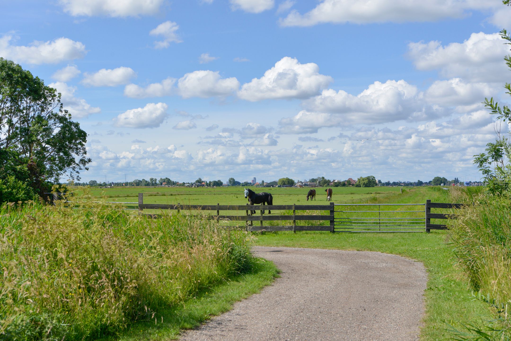 Photo 9 of Verdeek 4
