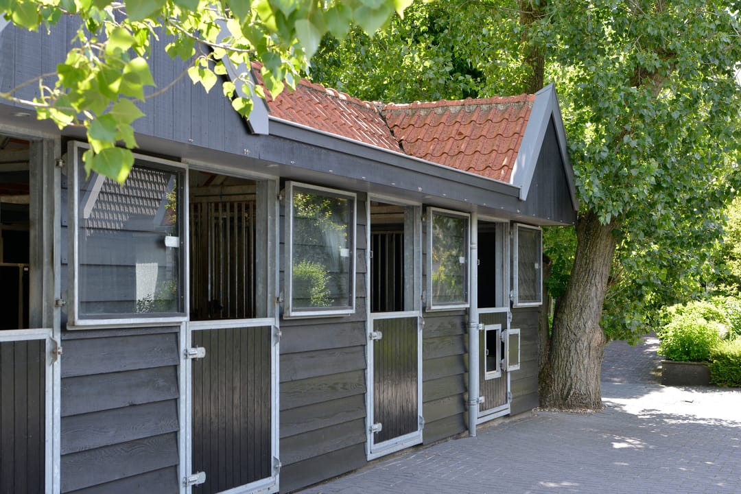 Photo 13 of Verdeek 4