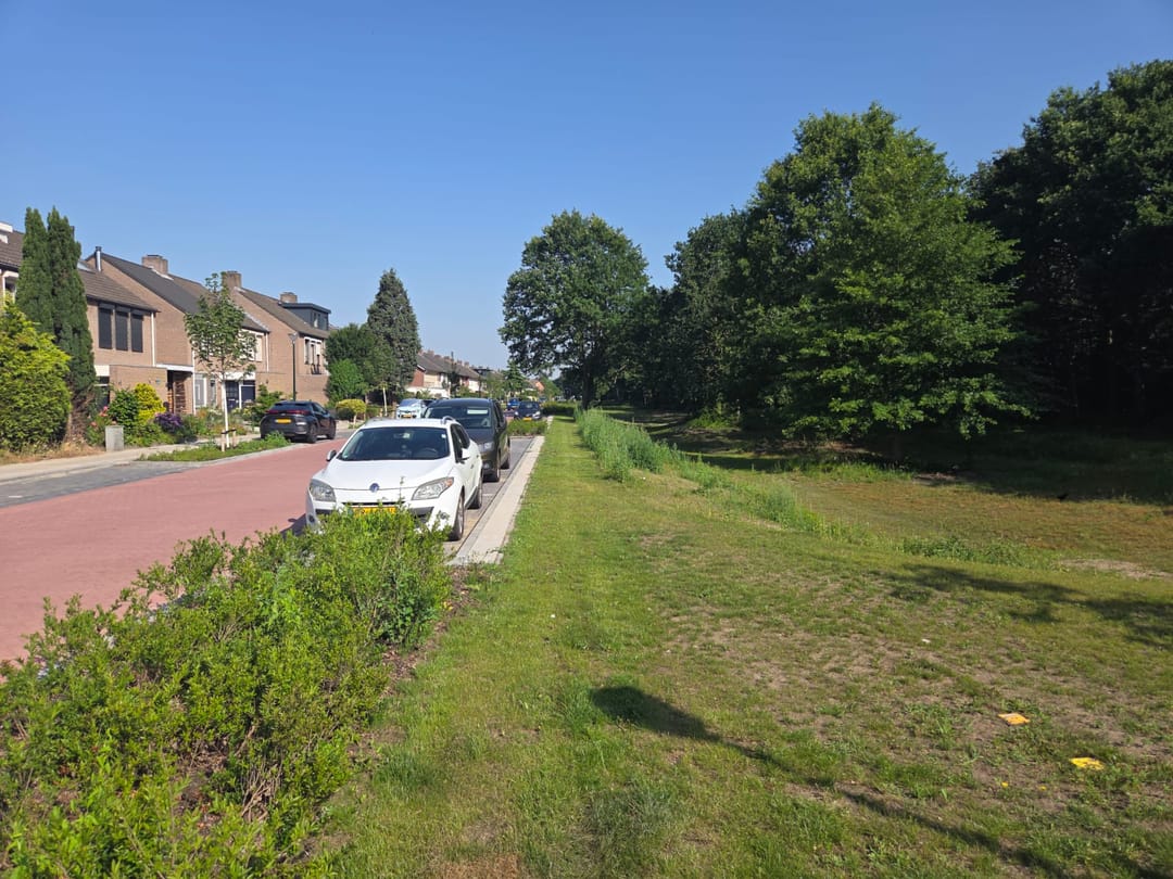 Photo 47 of Schutsboom 1