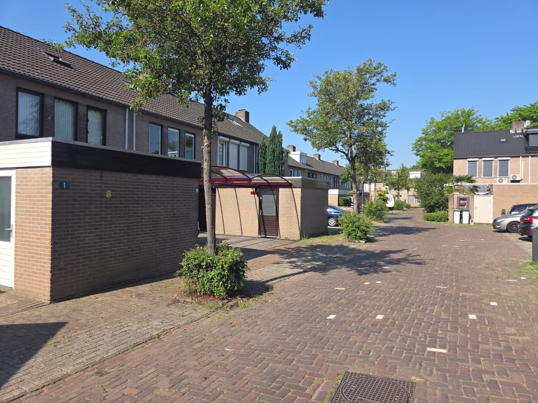Photo 11 of Schutsboom 1