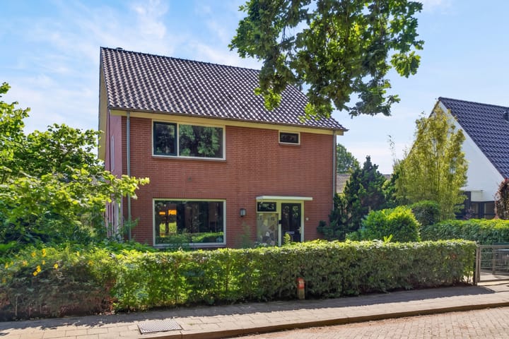 Photo 2 of Omloop 9