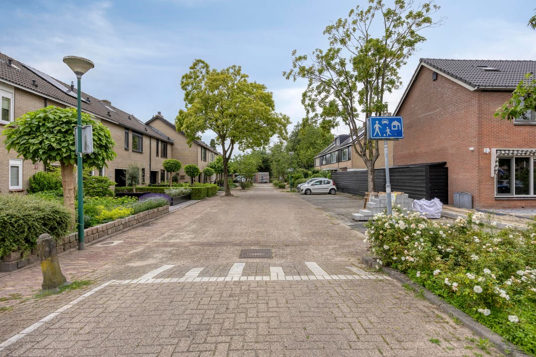 Foto 41 van Vliet 2
