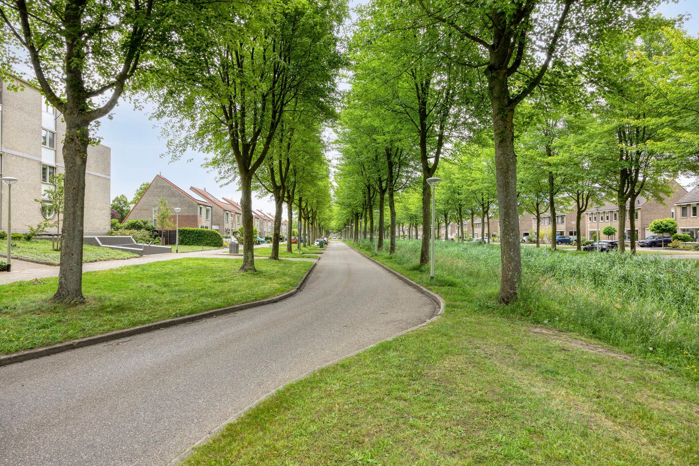 Photo 34 of Haringstraat 37