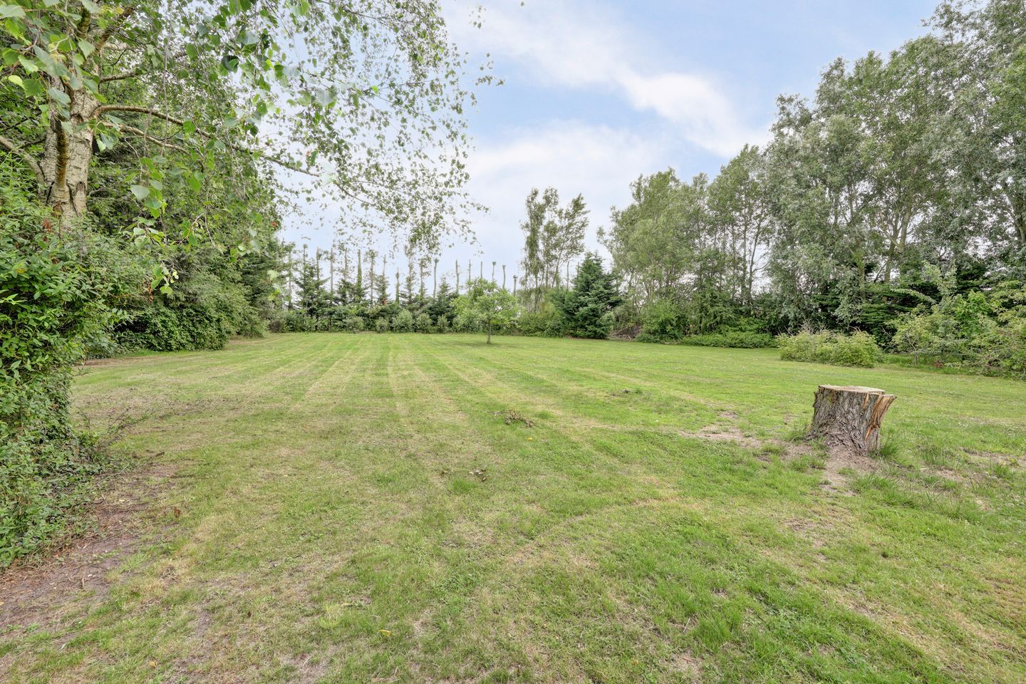 Photo 55 of Achterweg 12