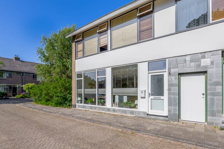 Westerhof 37