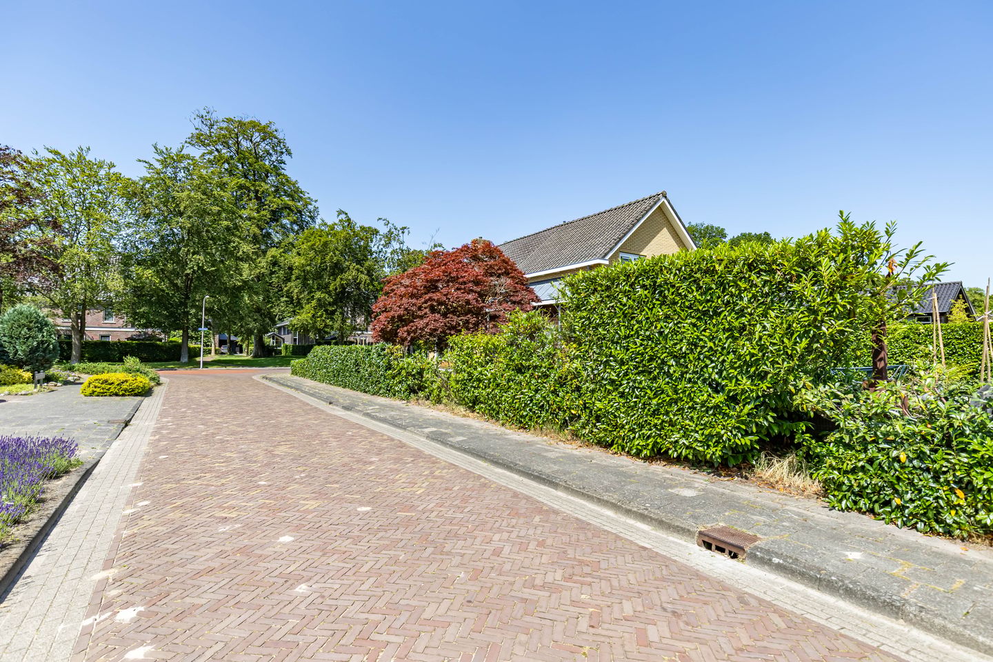Photo 44 of De Skeakel 5